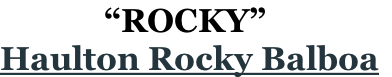              “ROCKY”
Haulton Rocky Balboa
